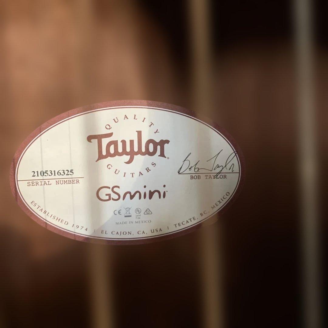Taylor GS Mini ケース付