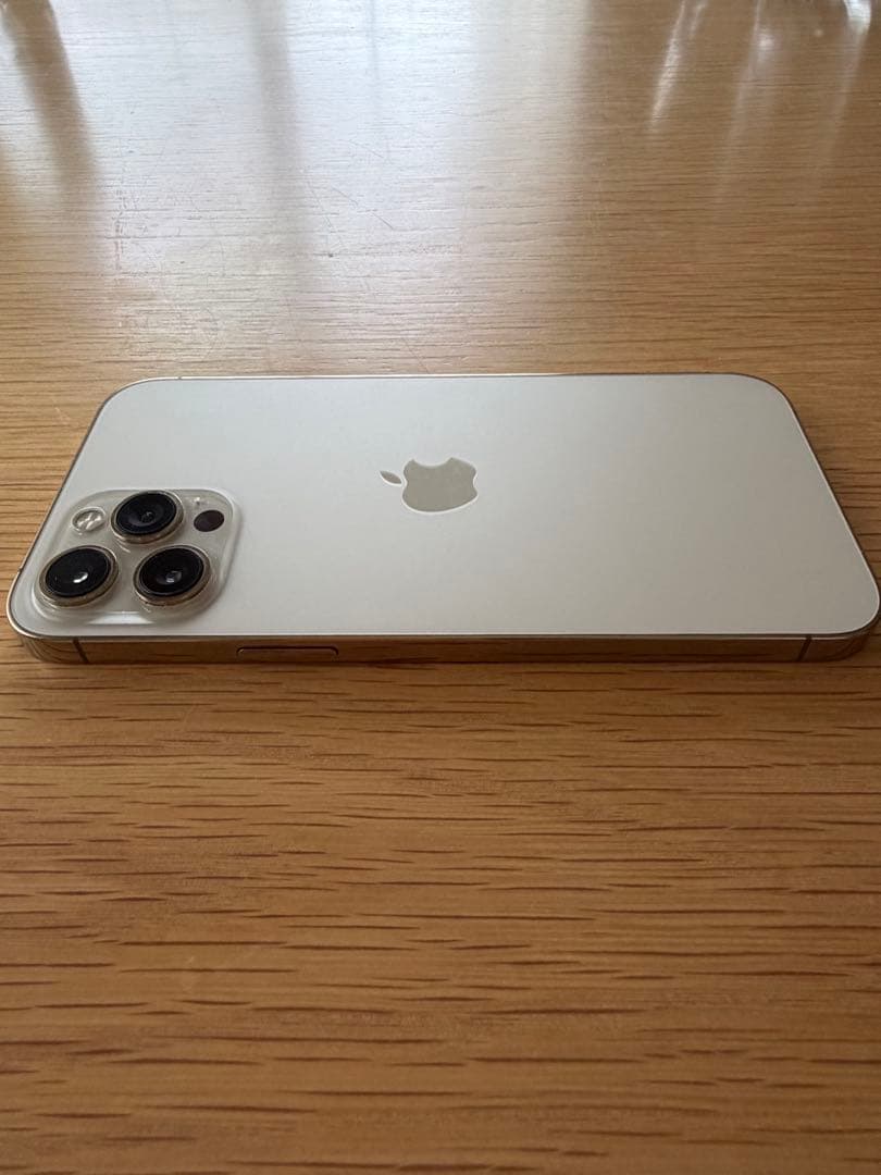 Apple iPhone 12 Pro Max オマケ付き
