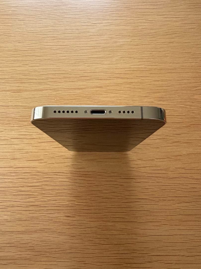 Apple iPhone 12 Pro Max オマケ付き