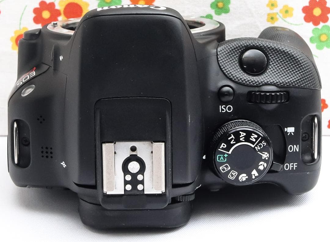 Canon Kiss X7 ☆初心者歓迎☆スマホに転送☆軽量ボディ＆高画質