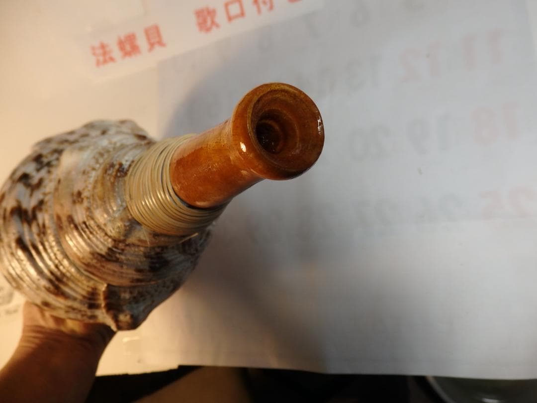 法螺貝 約38㎝ 木製歌口,新品 MH-480