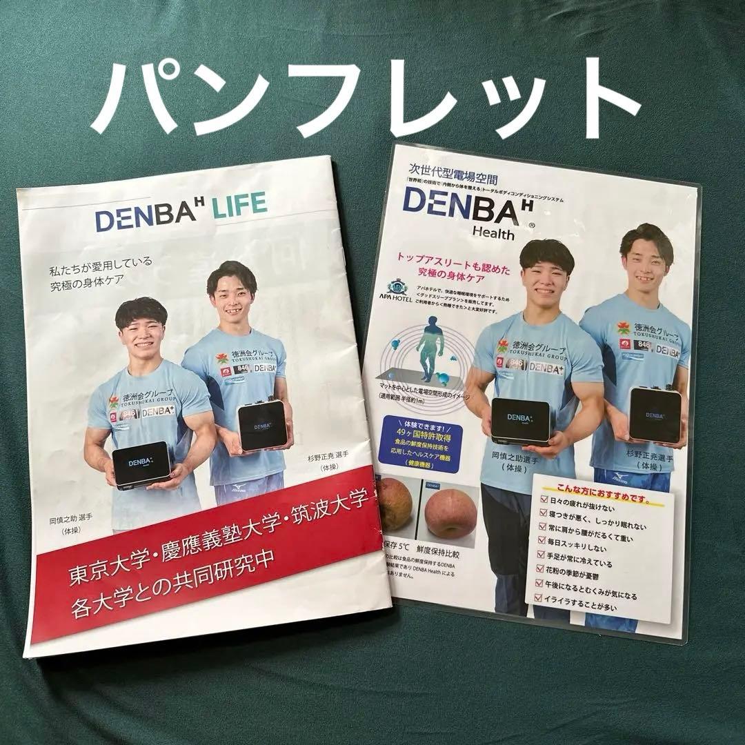 ボディ・フェイスケア DENBA Health High-grade