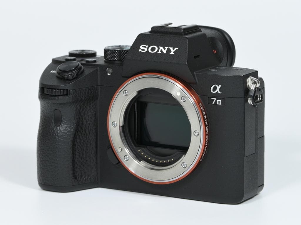 【美品】 ソニー α7 III ILCE-7M3 ボディ 《ショット数2024》
