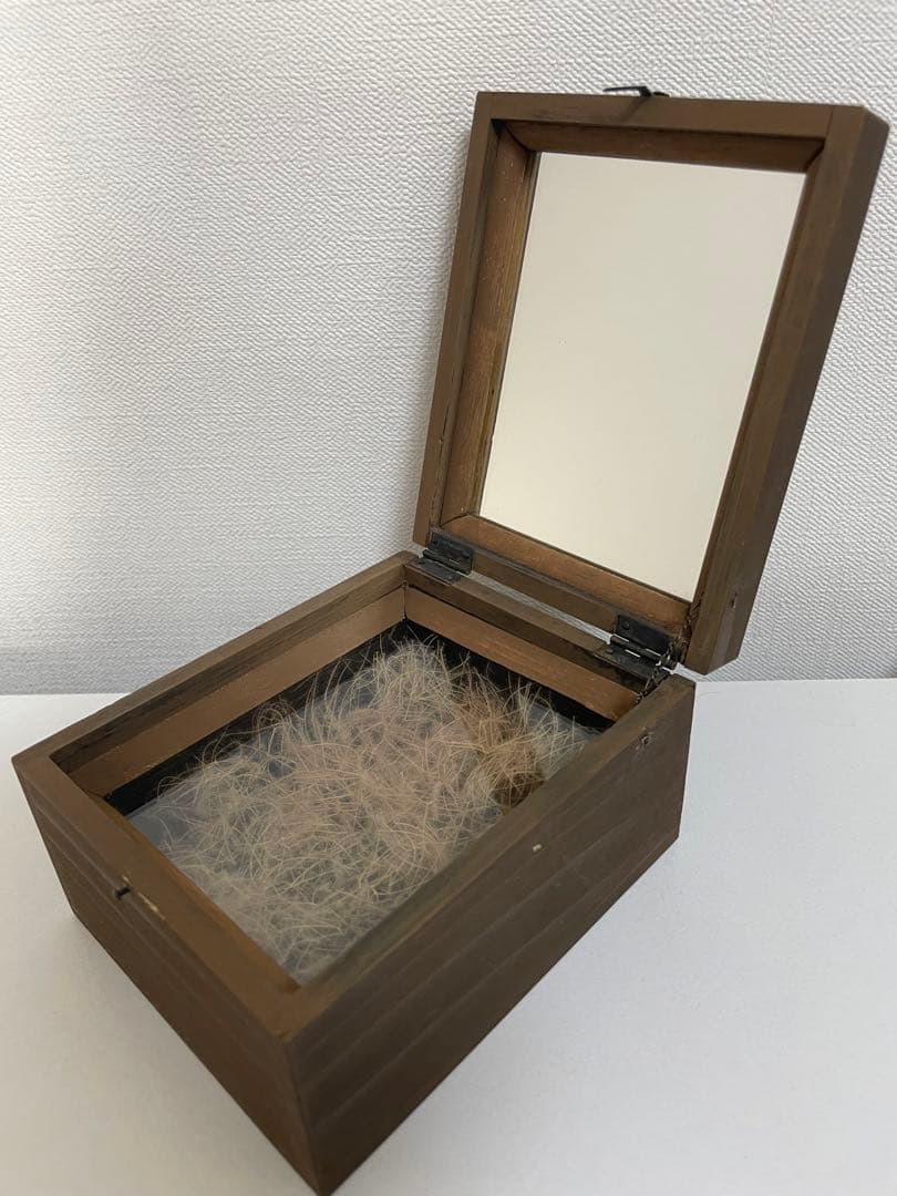 はいいろオオカミ＋花屋西別府商店 森の小さな鏡 標本箱