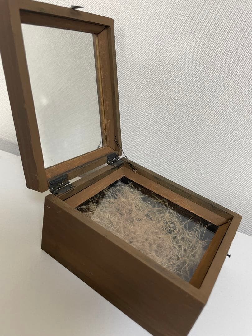 はいいろオオカミ＋花屋西別府商店 森の小さな鏡 標本箱