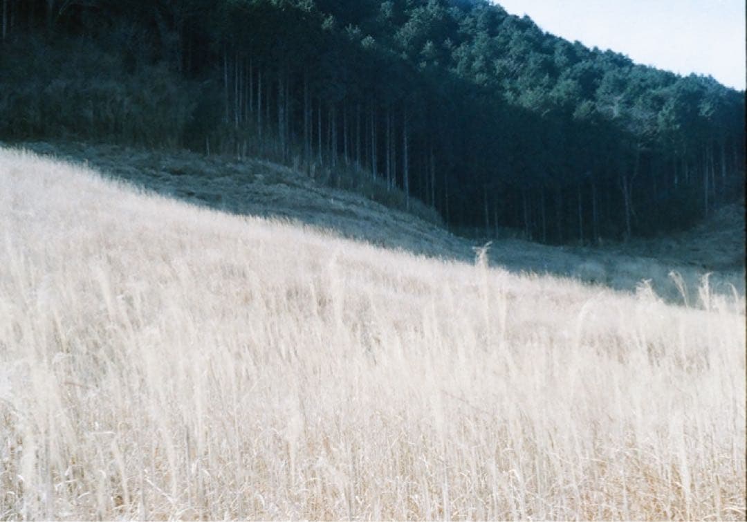 OLYMPUS PEN FT フィルムカメラ