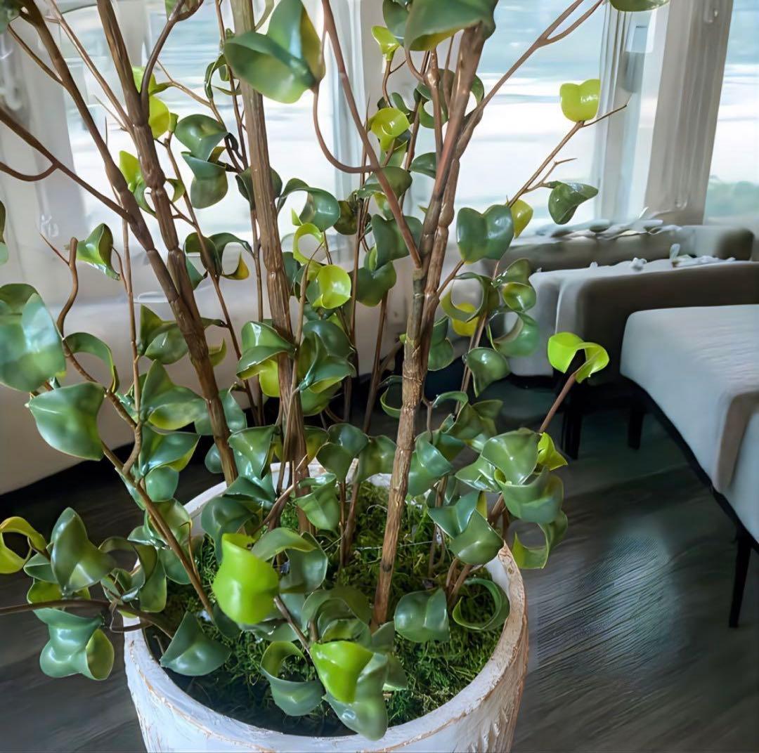 光触媒　人工観葉植物　ウォールグリーン　フェイクグリーン　ベンジャミンバロックy