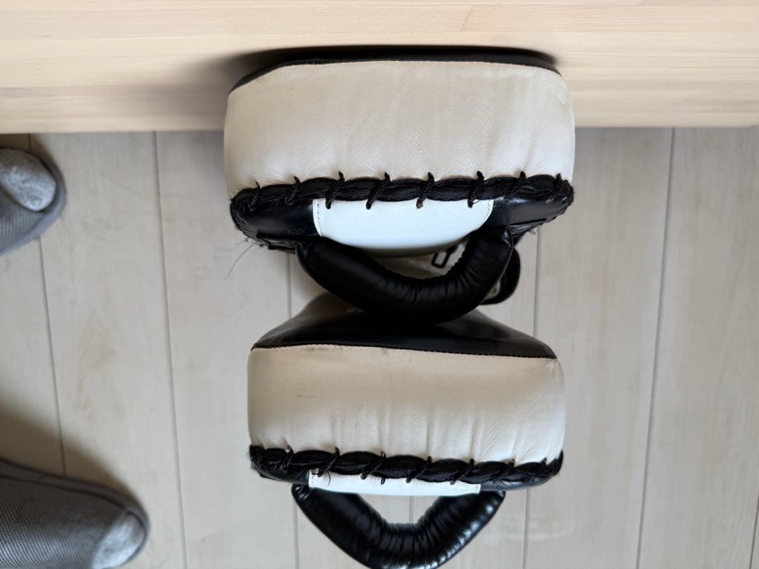 【いぬ】ISAMI キックミットTS FS-12（2個セット）