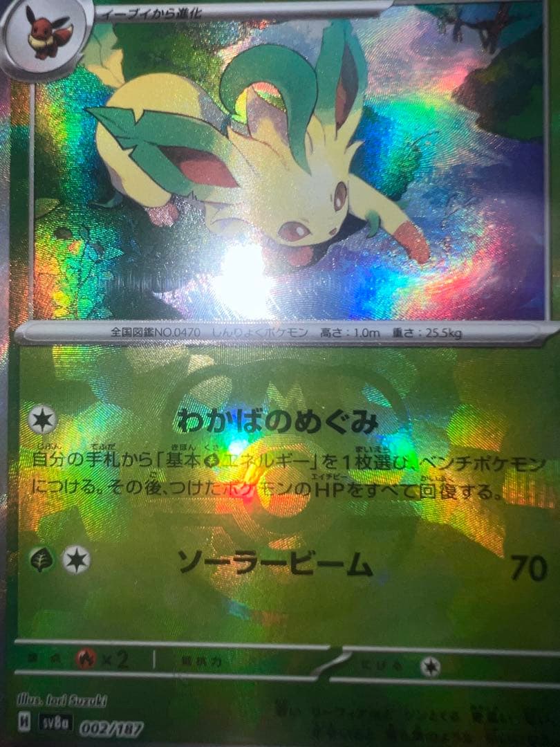 マスボ　リーフィア　マスターボール　ブイズ