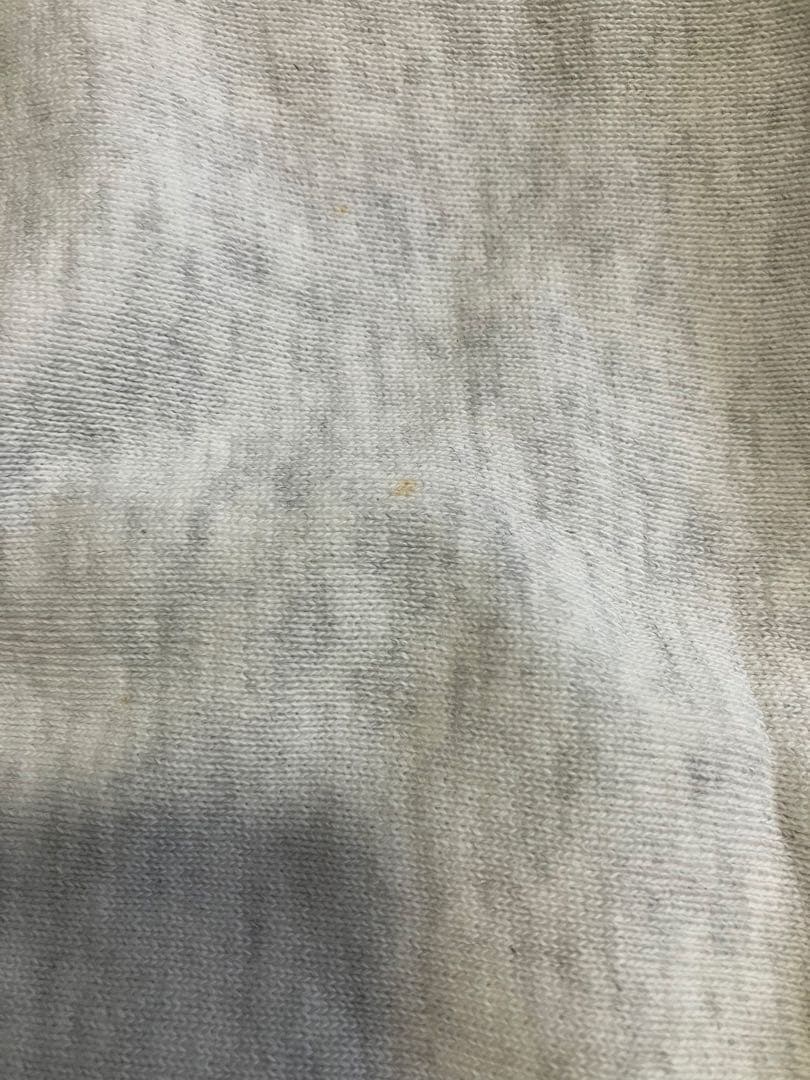 初期単色タグ　チャンピオン　リバースウィーブ　　ウィングフット　染み込み　M