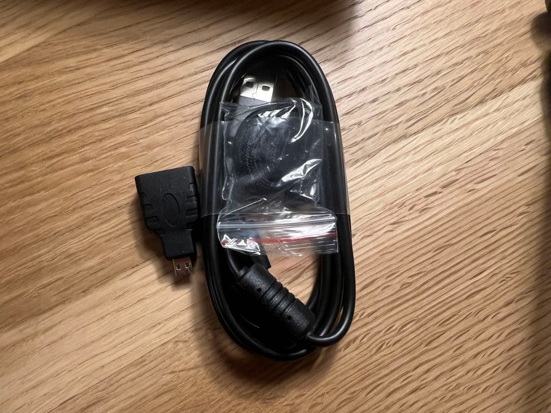 RICOH リコー Image Pointer GP01