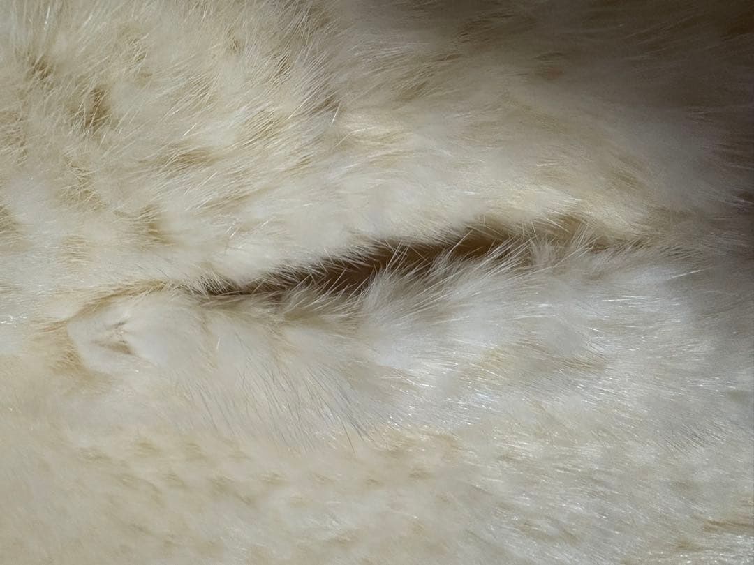 サガミンクコート　ホワイト系　金サガ