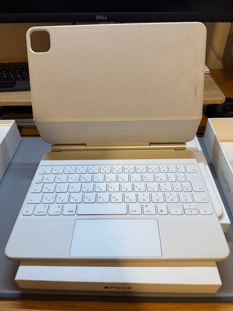 [訳アリ]iPad Pro M1 11”2TB Wi-Fi + Cellular