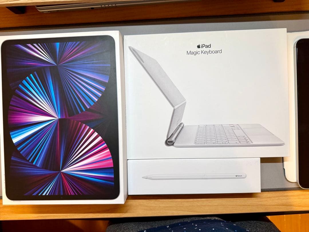 [訳アリ]iPad Pro M1 11”2TB Wi-Fi + Cellular