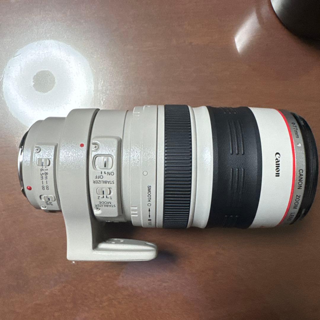 C*プ様 Canon EF 100-400mm f/4.5-6.3L IS US
