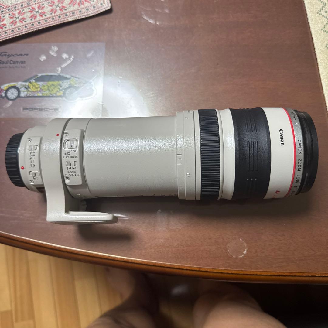 C*プ様 Canon EF 100-400mm f/4.5-6.3L IS US