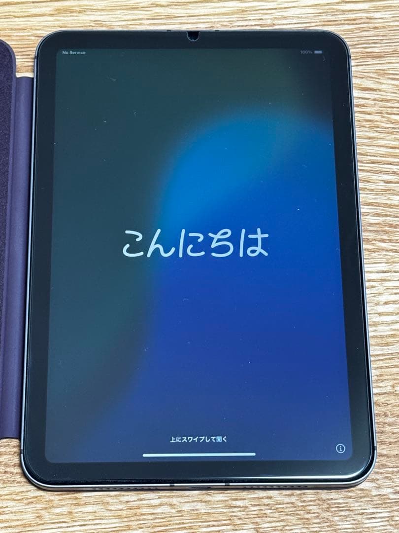 iPad mini 第6世代　cellular セルラー　256GB シムフリー