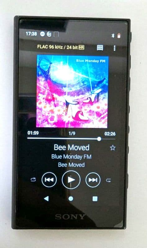 ポータブルプレーヤー Sony Walkman NW-A105HN