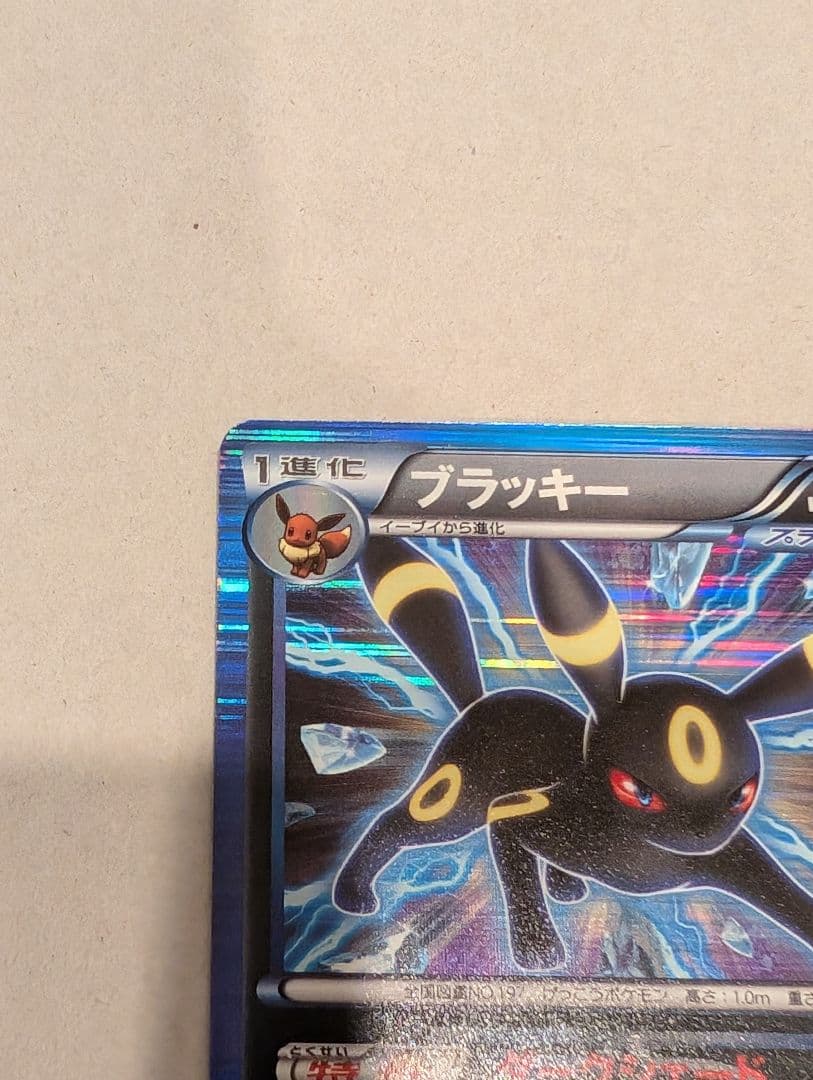 ポケモンカード　ブラッキー BW8 031