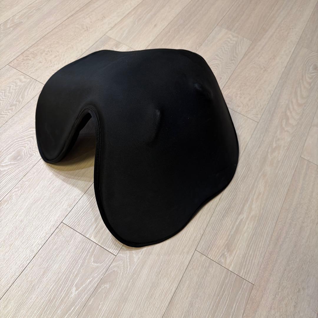 MTG Style SMART スタイルスマート 姿勢矯正 骨盤 チェア