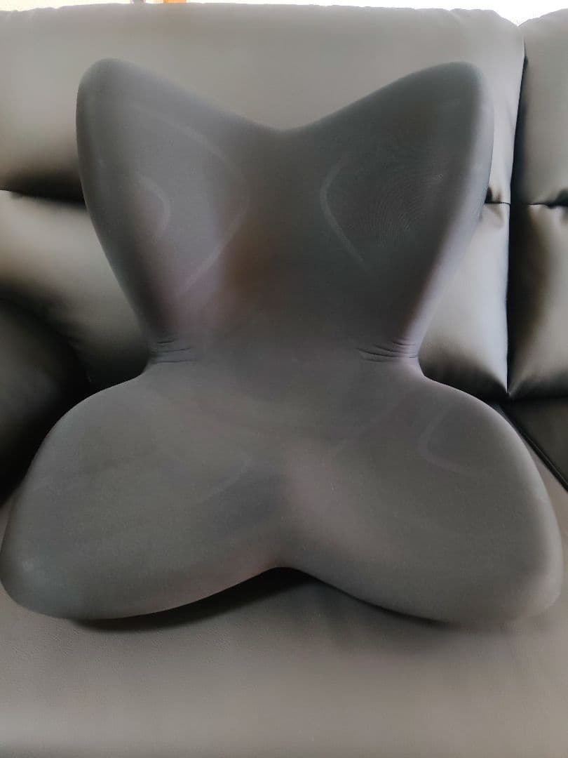 Style PREMIUM ブラック