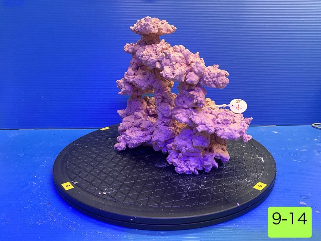 人工ライブロック　No.9-14 9-12 まとめて2個購入