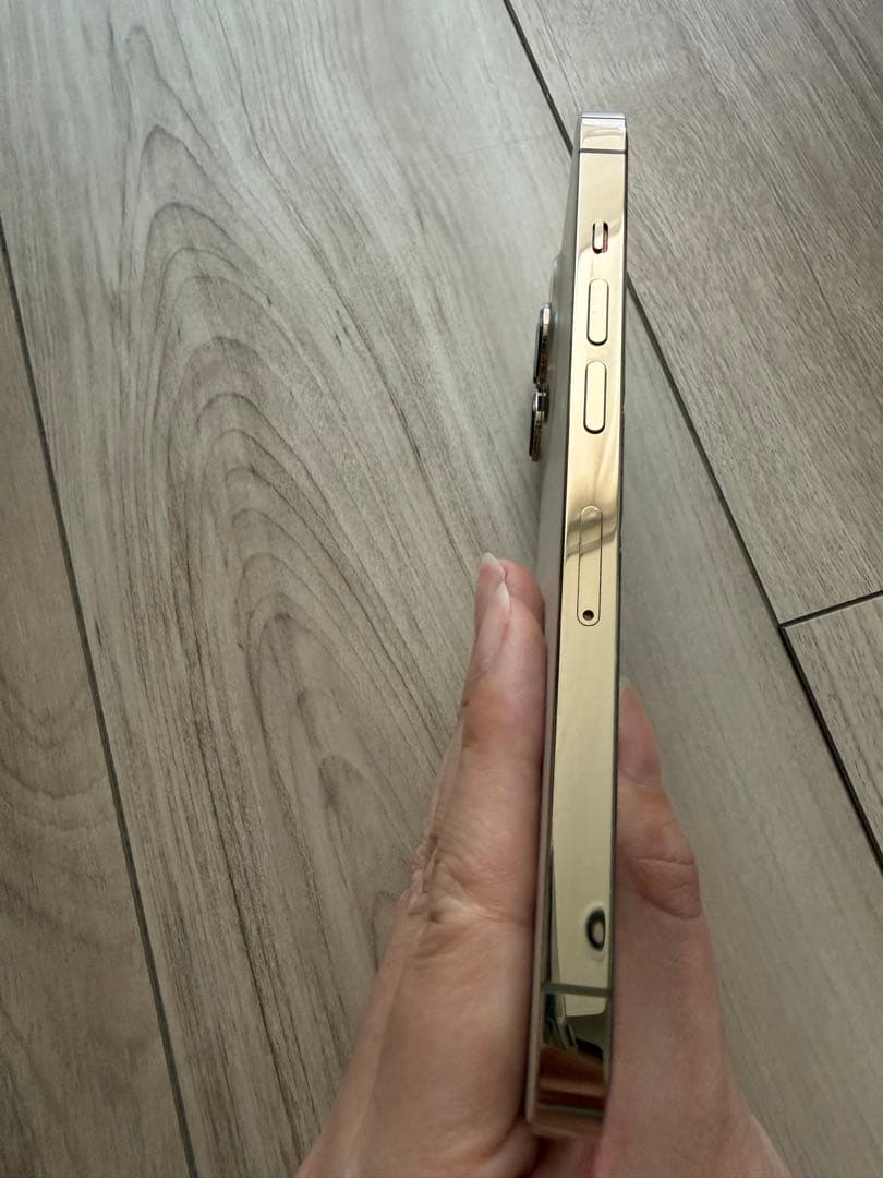 【512GB 66%】iPhone13 Pro ゴールド