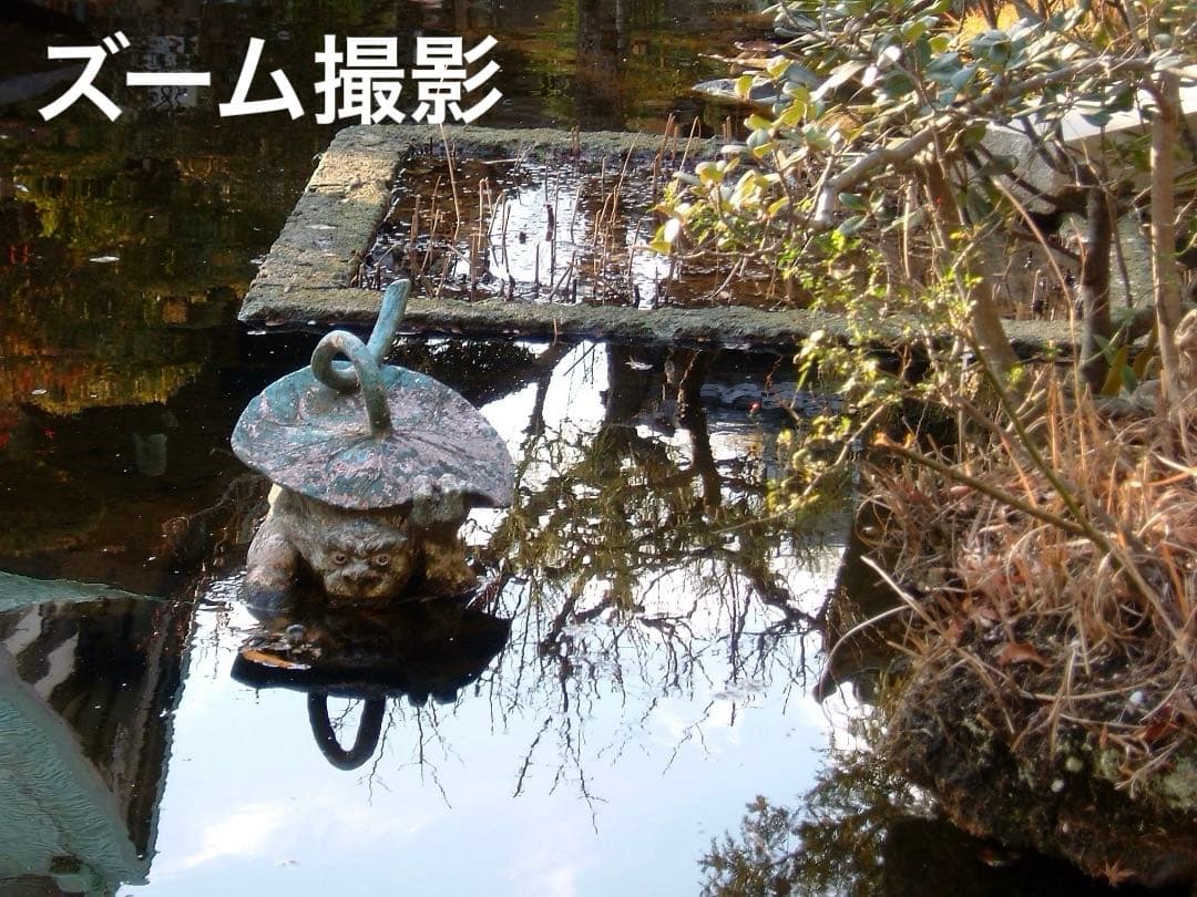 実写美⭕️やや訳あり【動作確認済み】Fujifilm FinePix F710