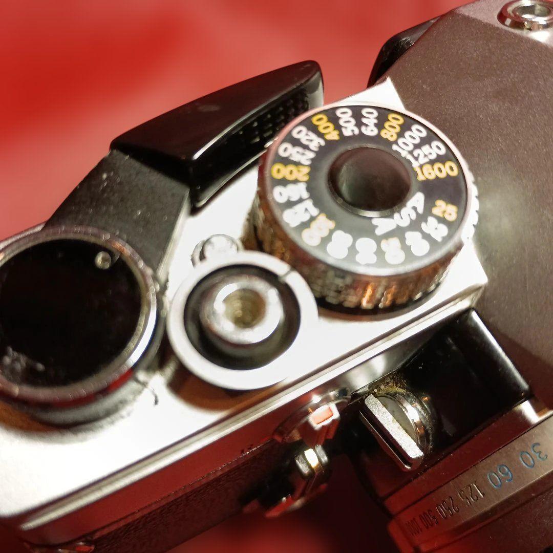 OLYMPUS M-1 一眼レフカメラ