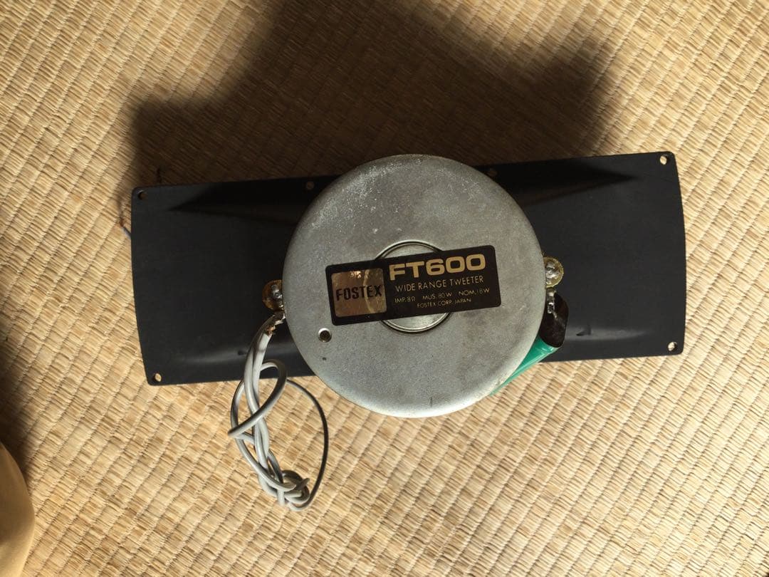 ホーンスピーカー ブラック　ＦＯＳＴＥＸ FT600