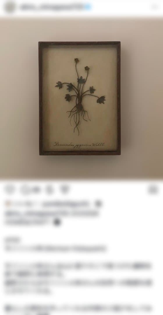 モリソン小林 special source 鉄の草花アート作品 idee