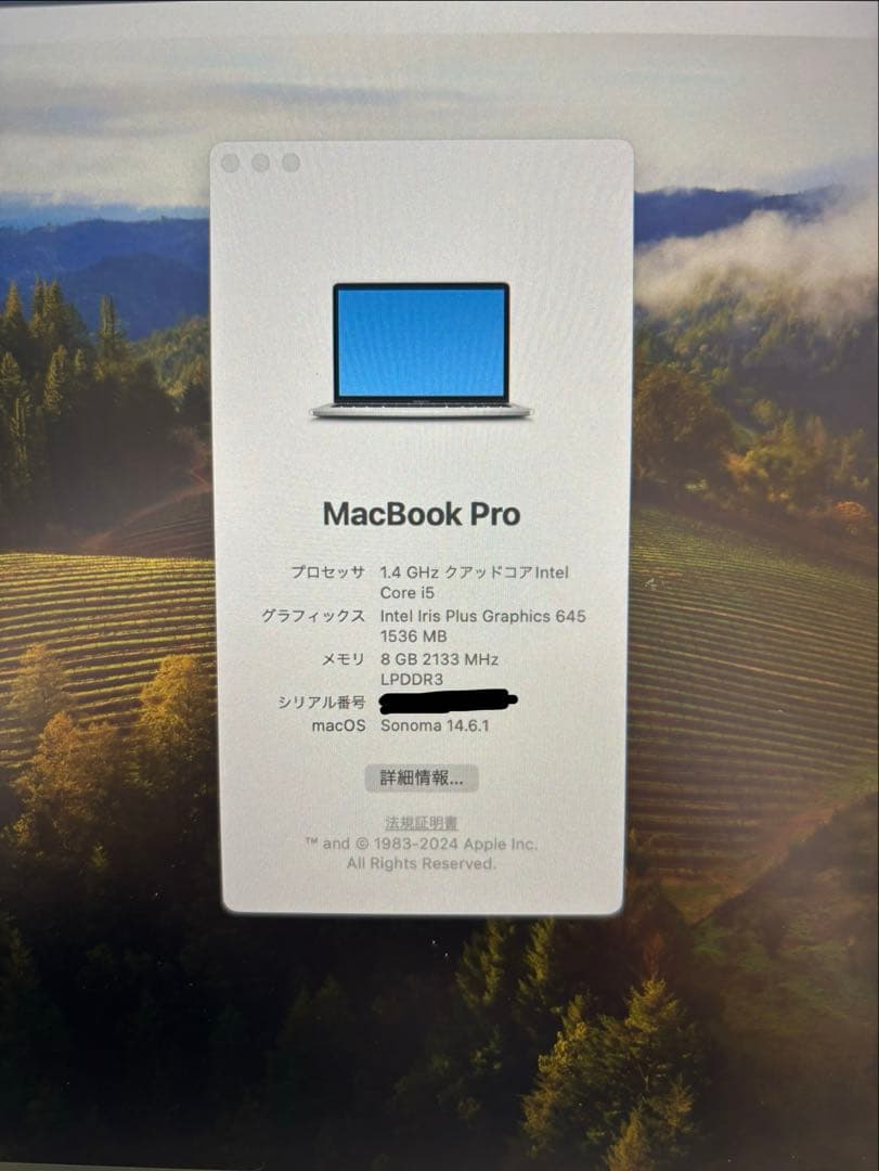 だじ出品 MacBook Pro (13-inch, 2020モデル)