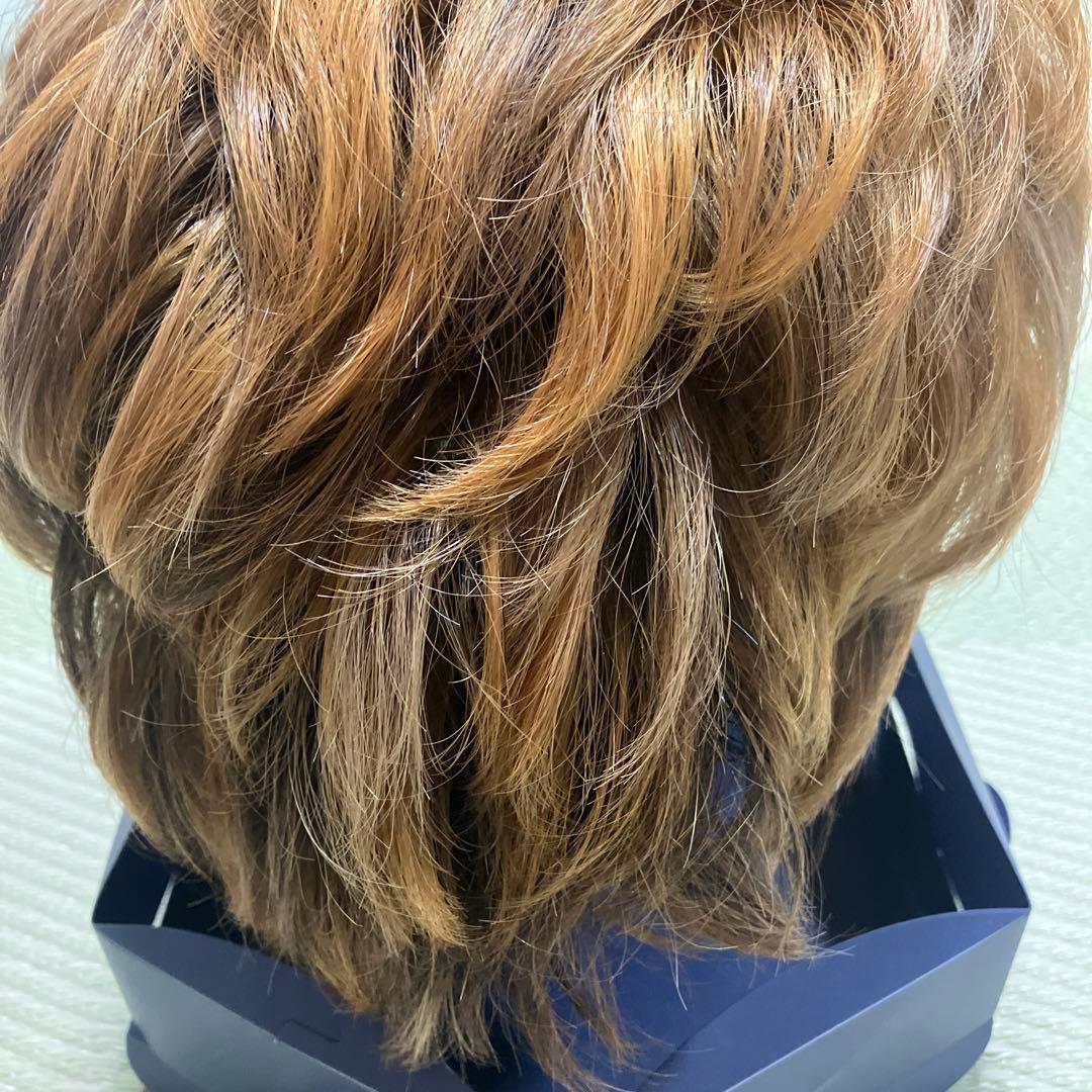 VALAN ヴァラン 人毛 ウィッグ ブラウン系 クリップ付き 中古