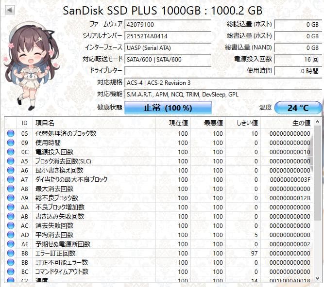 【未使用】SanDisk SSD PLUS 1TB 内蔵型SSD