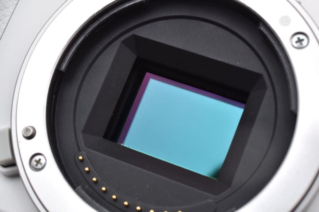 ショット数 8490回 ソニー SONY α6000 ダブルズームキット