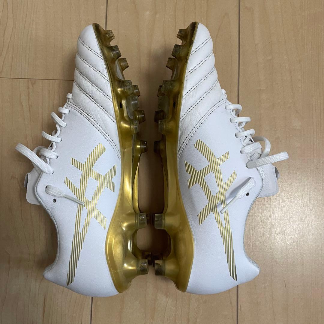 【即購入OK】DS LIGHT X-FLY PRO アシックス 24.5