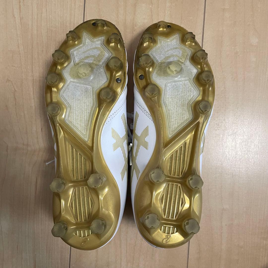 【即購入OK】DS LIGHT X-FLY PRO アシックス 24.5