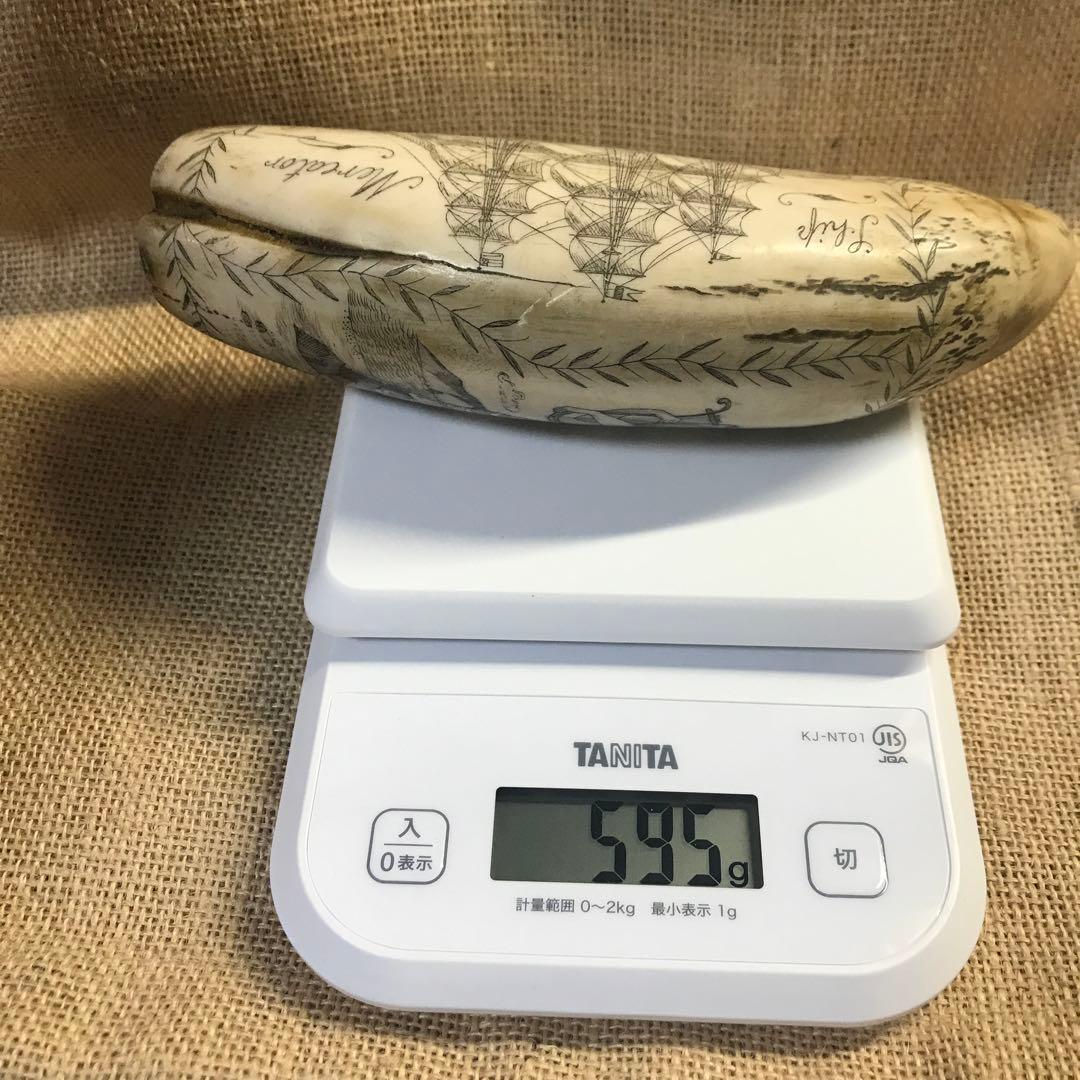 スクリムショー　鯨歯　クジラ　牙　彫刻