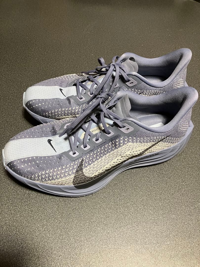 Nike ペガサスプラス 27.5㎝