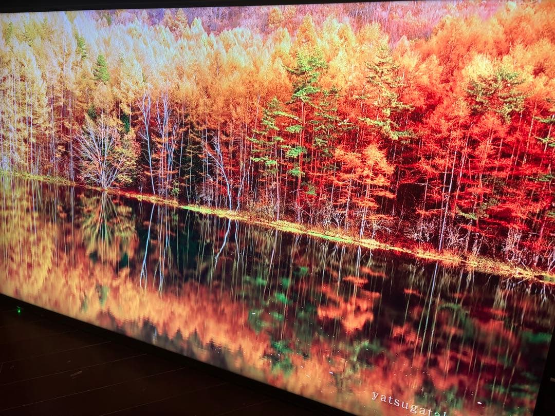 ハイセンス Hisense 55型 テレビ 55U7E 縦ブレ 訳あり