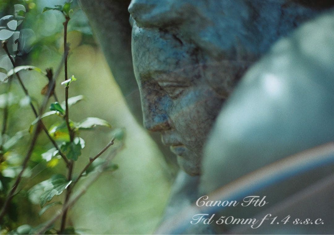 ★Canon FTb ★FD f1.4ssc★完動品＊美品＊初期保証＊作例多数！