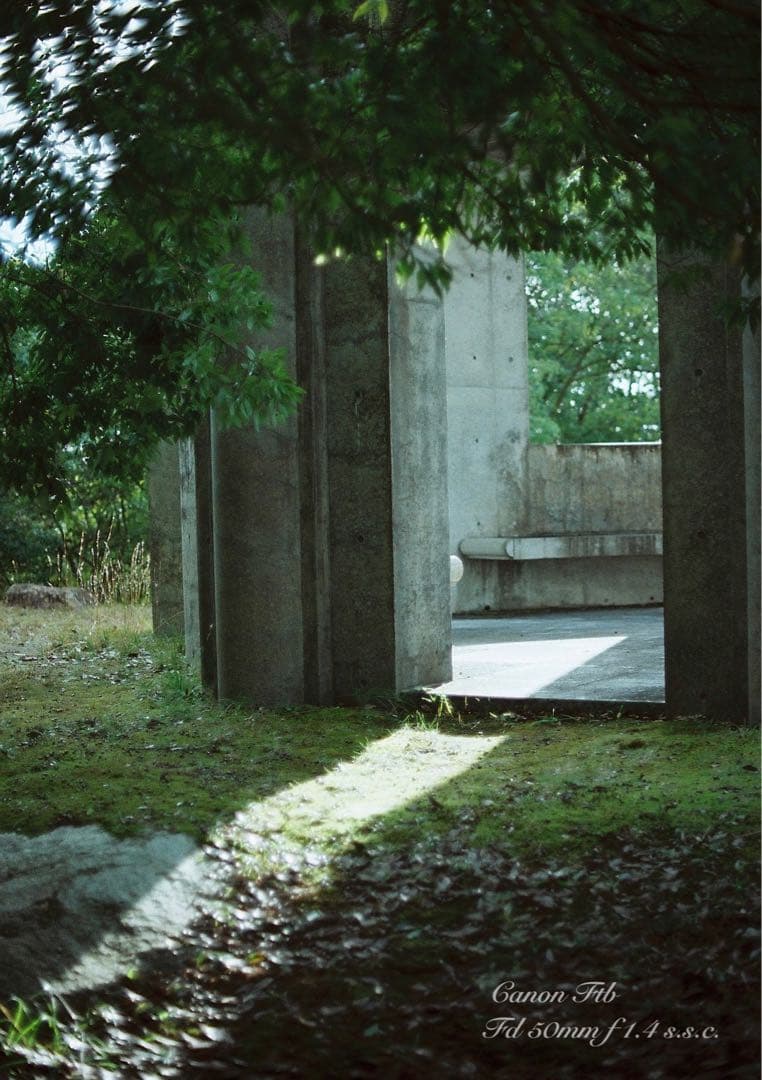 ★Canon FTb ★FD f1.4ssc★完動品＊美品＊初期保証＊作例多数！