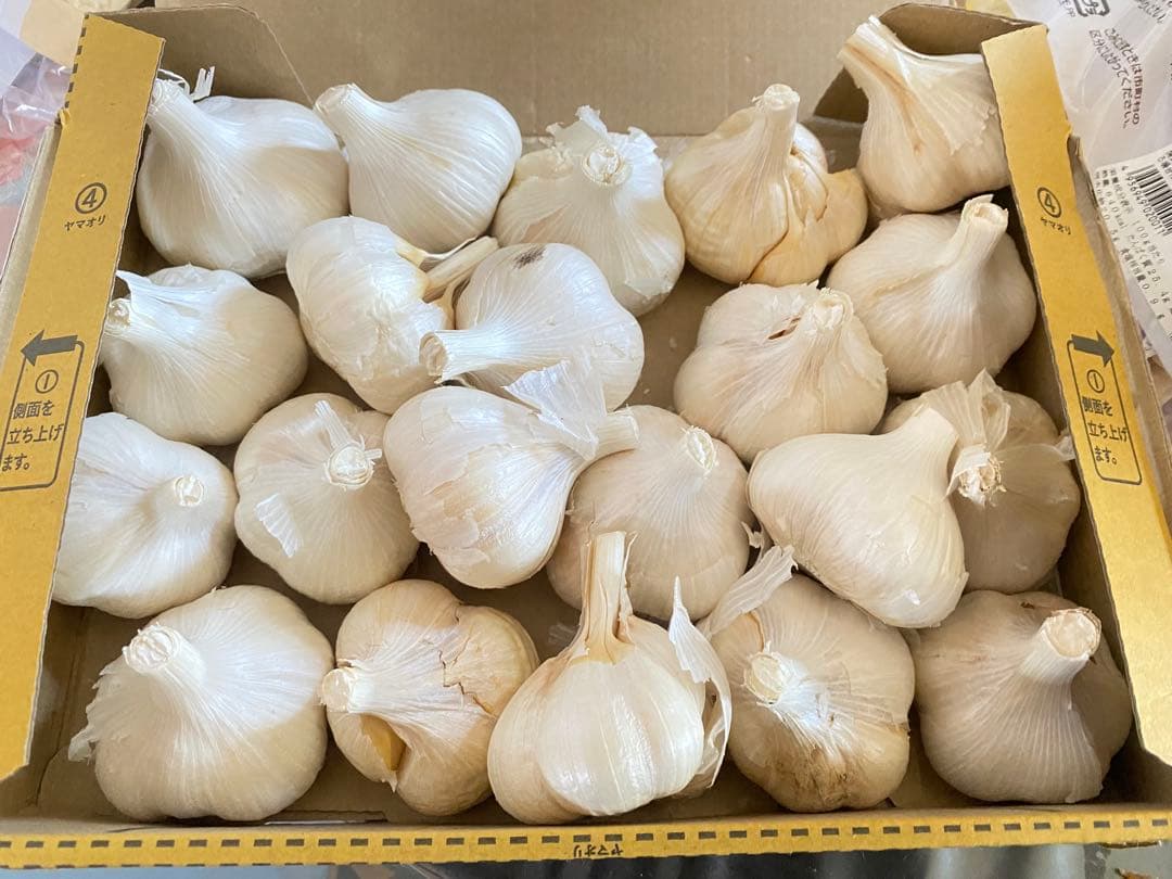 青森産 乾燥にんにく Lサイズ　福地ホワイト六片 ニンニク　黒にんにく　おすすめ