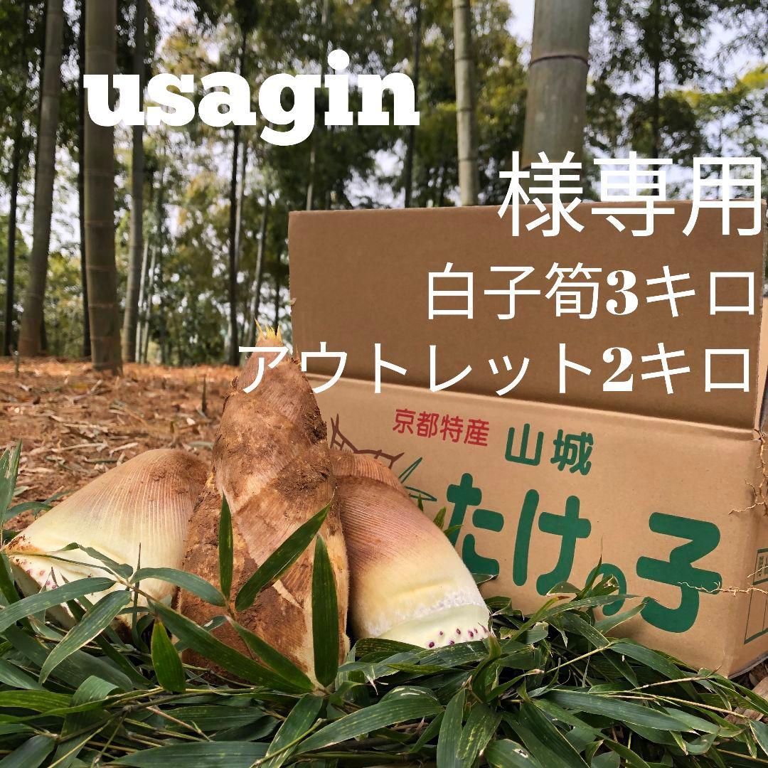 usagin　白子筍3キロアウトレット2キロ箱込み