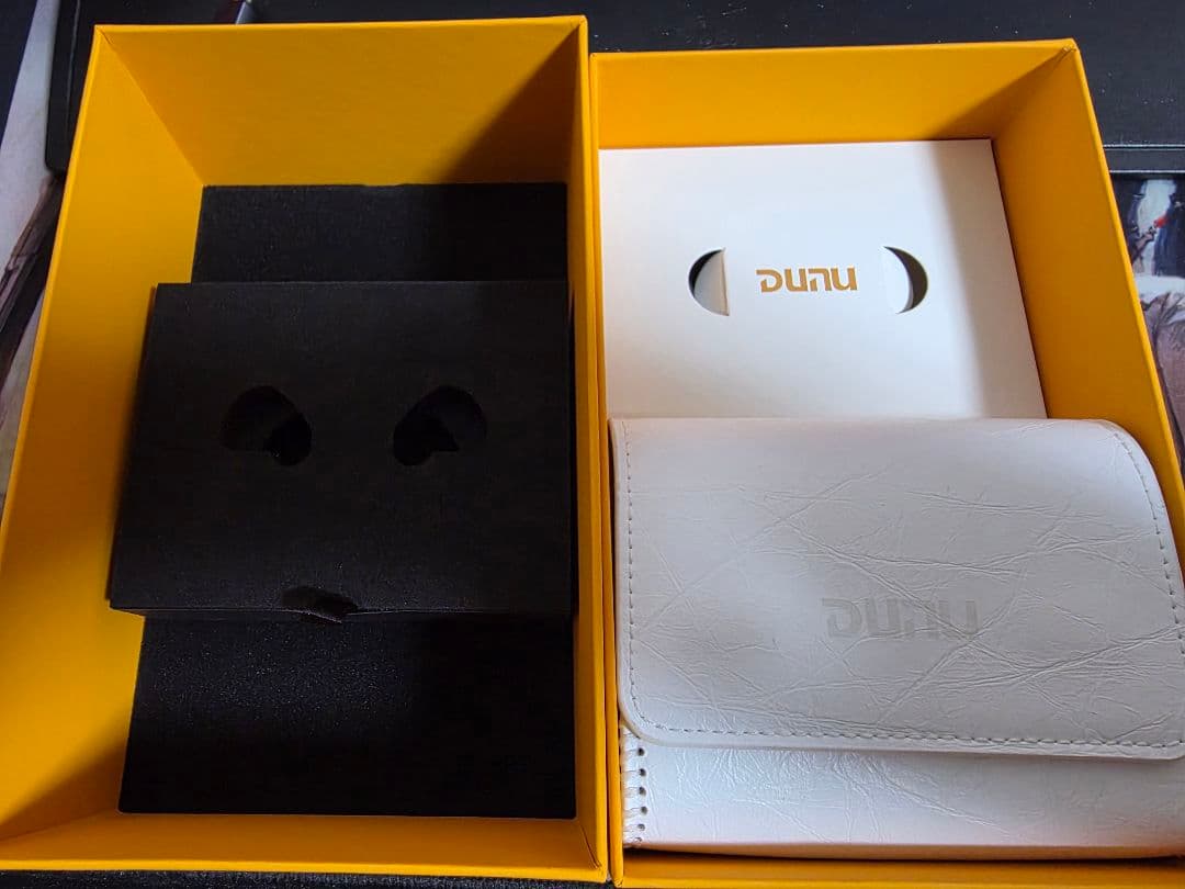 DUNU DK3001 BD リケーブル可能イヤホン