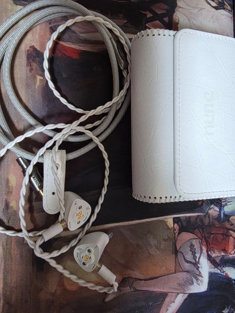 DUNU DK3001 BD リケーブル可能イヤホン