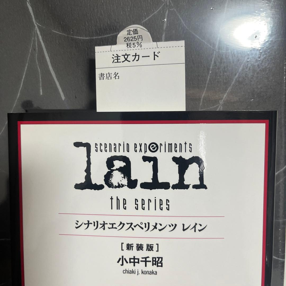 ビジュアルエクスペリメンツレイン　書籍2冊セット