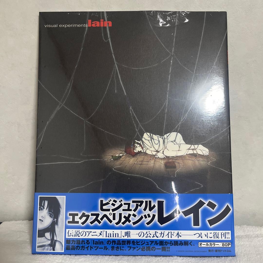 ビジュアルエクスペリメンツレイン　書籍2冊セット