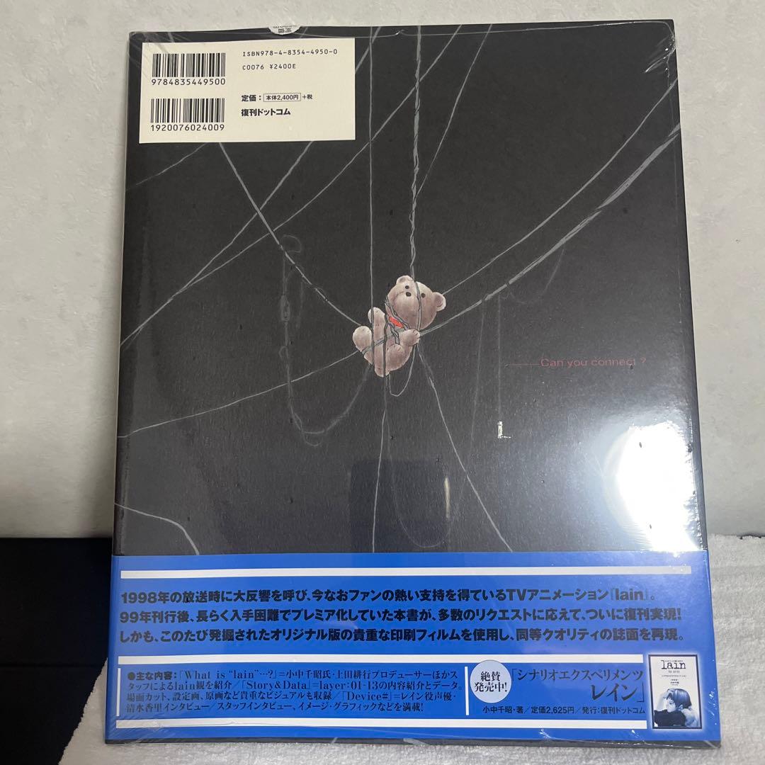 ビジュアルエクスペリメンツレイン　書籍2冊セット