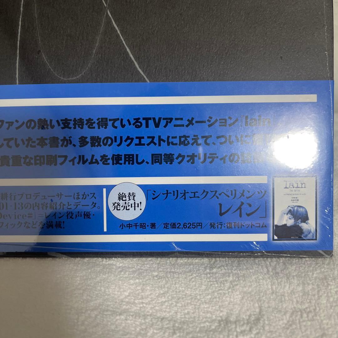 ビジュアルエクスペリメンツレイン　書籍2冊セット